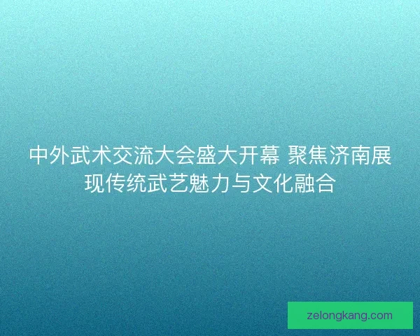 中外武术交流大会盛大开幕 聚焦济南展现传统武艺魅力与文化融合
